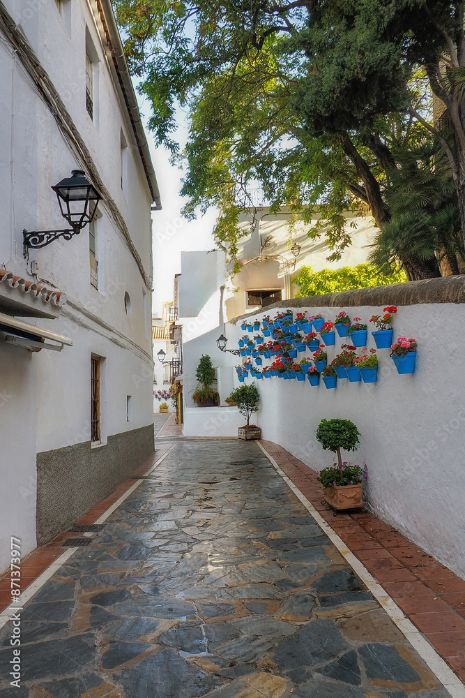 Fototapeta premium Marbella, a city near Malaga, Andalusia, Spain, a part of the city in the photo