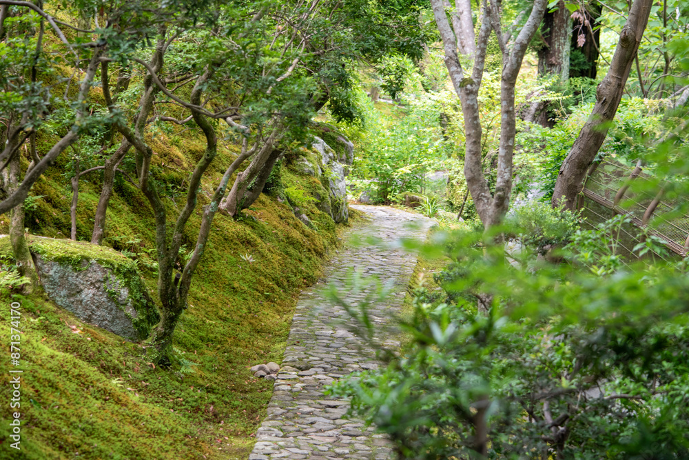 A beautifully maintained Zen garden in Japan. A beautifully maintained Zen garden in Japan.