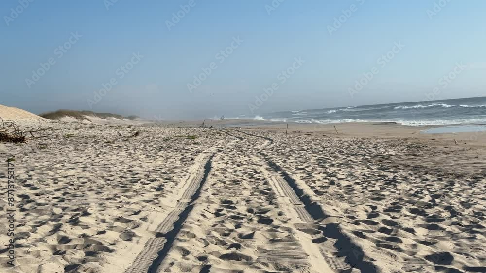 Sandy Beach with a trail of tire marks on the sand and beach-breaking waves. Solitude and relaxation Sandy Beach with a trail of tire marks on the sand and beach-breaking waves. Solitude and relaxation