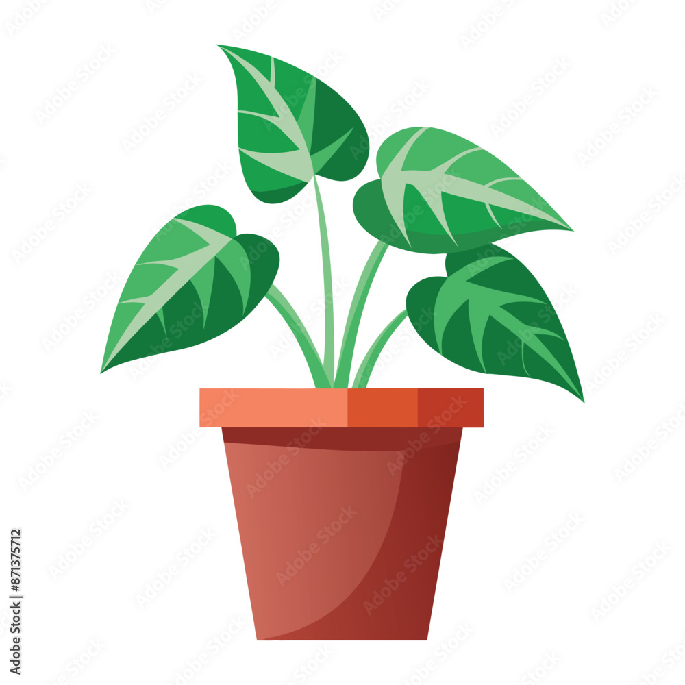 illustration of trillium plant pot on white illustration of trillium plant pot on white