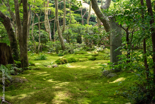 A beautifully maintained Zen garden in Japan.