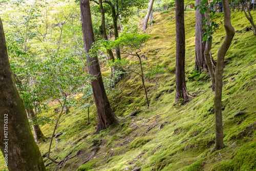 A beautifully maintained Zen garden in Japan.