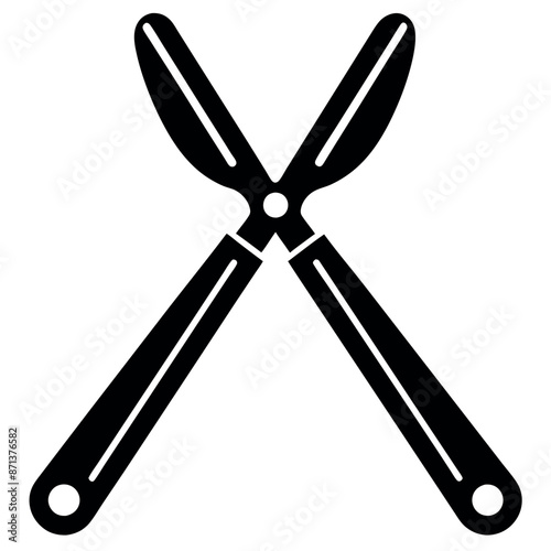 Vector extraction of teeth on a white background
