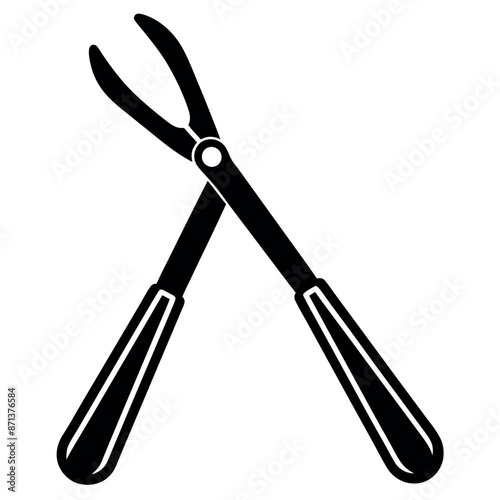 Vector extraction of teeth on a white background
