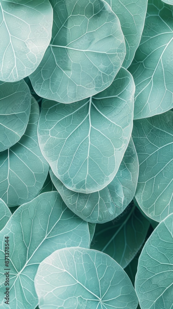 Obraz premium A Close-Up View of Light Green Leaves in a Tropical Garden