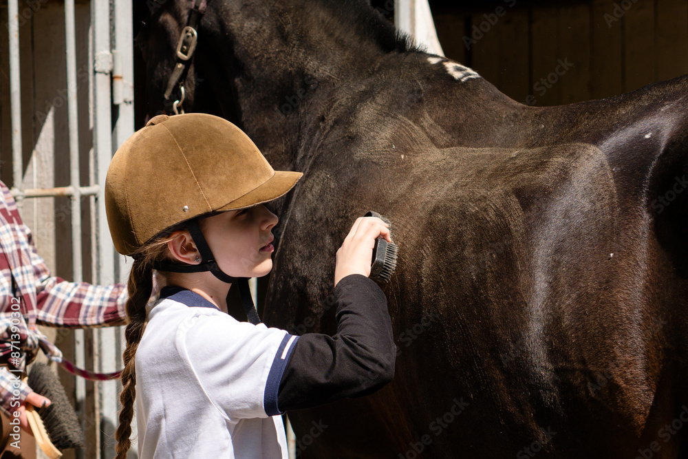 Child using brush on horse's side at stable.