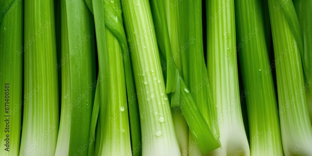 Fresh Green Celery Stalks, A close-up of fresh green pelager vegetable celery Fresh Green Celery Stalks, A close-up of fresh green pelager vegetable celery