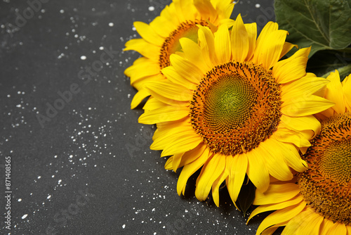 Beautiful sunflowers on gru...