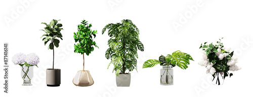 Plant set in vase isolated on white background.3d rendering with PNG File photo