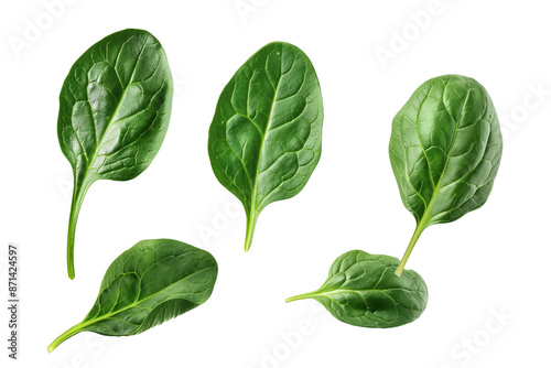 spinach leaves isolated on transparent background