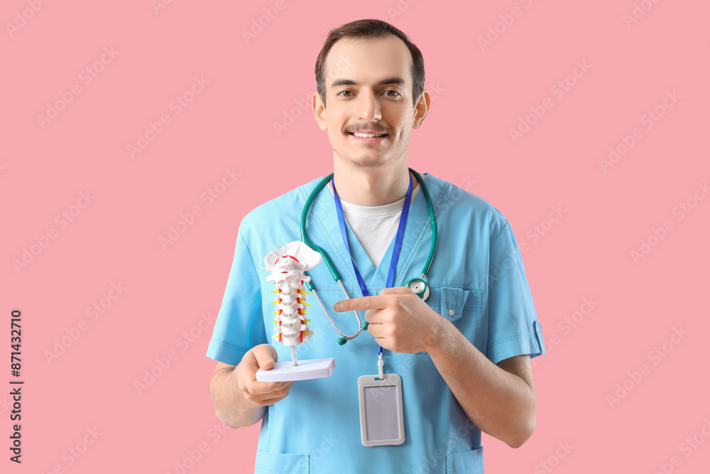Male doctor pointing at spine model on pink background