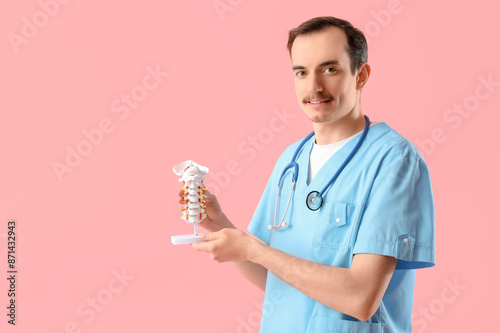 Male doctor with spine mode...