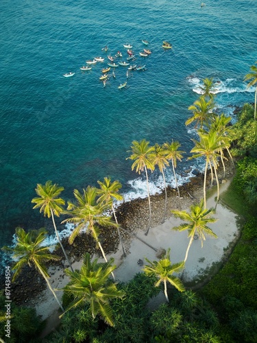 A group of traditional Sri Lankan fishing boats by the tropical beach overgrown with jungle