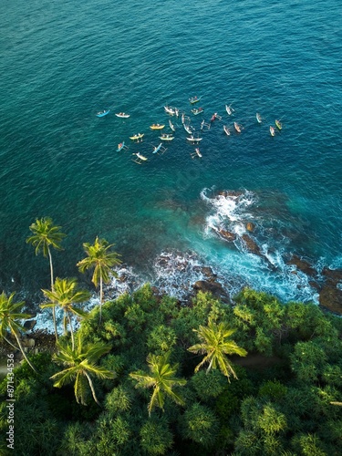 A group of traditional Sri Lankan fishing boats by the tropical beach overgrown with jungle
