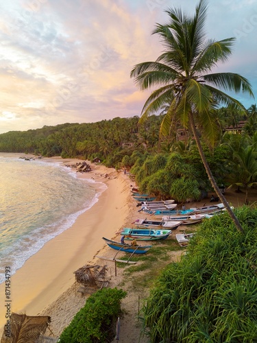 A tropical sand beach with fishing boats and palms, overgrown with jungle