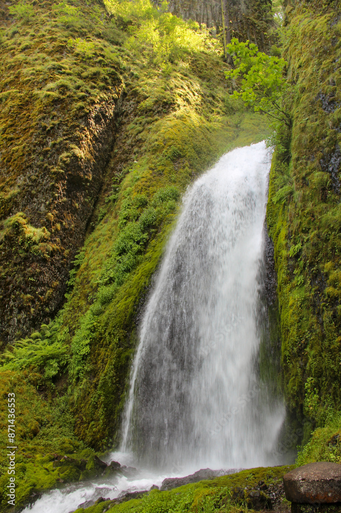 Obraz premium waterfall in the forest