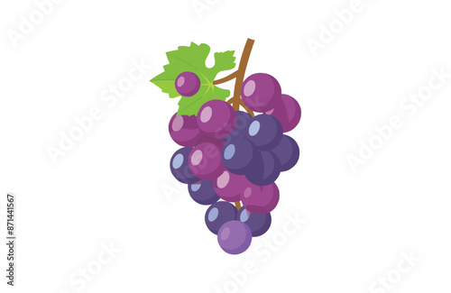 Colorful grapes icon isolated on white background.