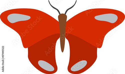 Butterfly illustration