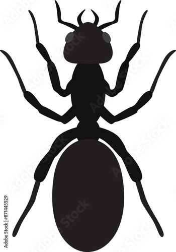Ant illustration