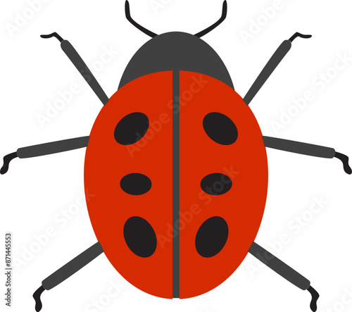 Ladybug illustration