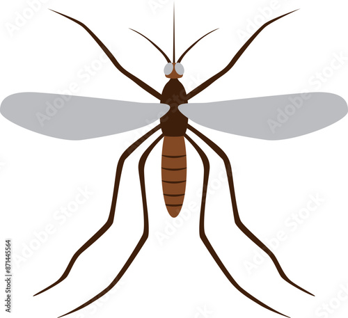 Mosquito illustration