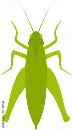 Grasshopper illustration