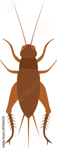 Cricket illustration
