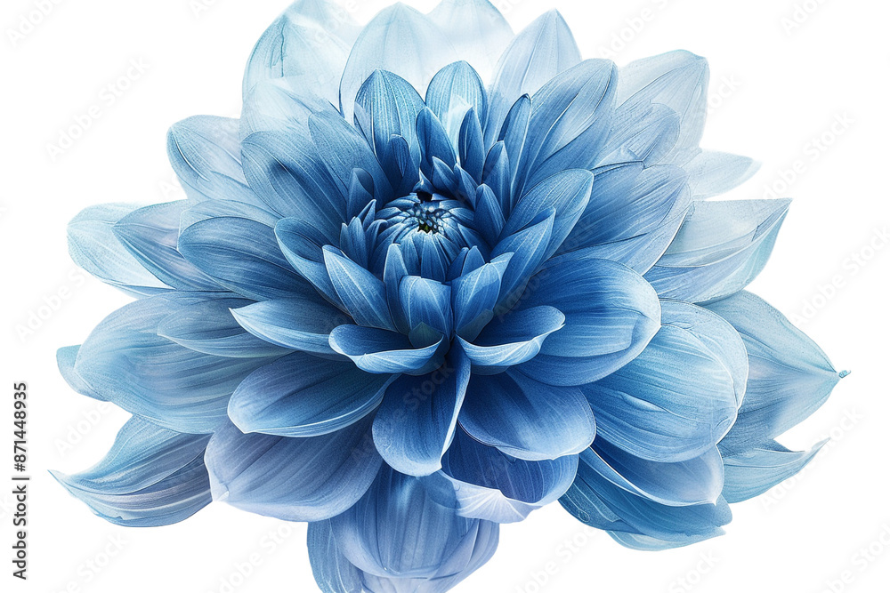 Obraz premium water blue flower isolated on transparent background