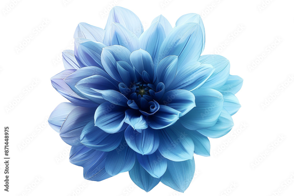 Fototapeta premium water blue flower isolated on transparent background