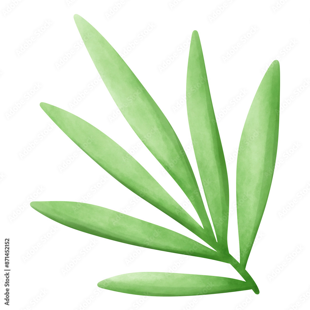 Obraz premium summer leaf