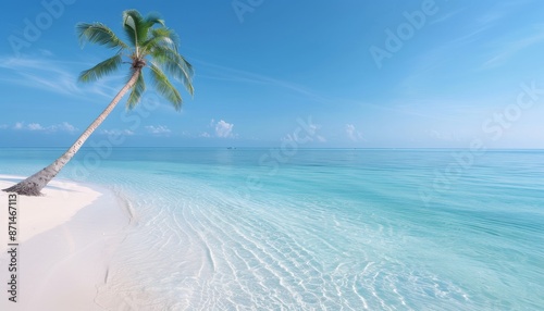 Scenic tropical beach with turquoise water  white sand  and a lone palm tree under a clear blue sky. Perfect vacation destination.