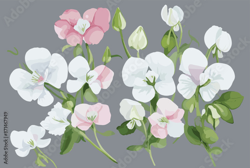 Adobe Illustrator Artwork vector watercolor painting colorful splashes on a white floral background flower leaf bouquet beautiful natural bloom graphic drawing rose pattern abstract painted