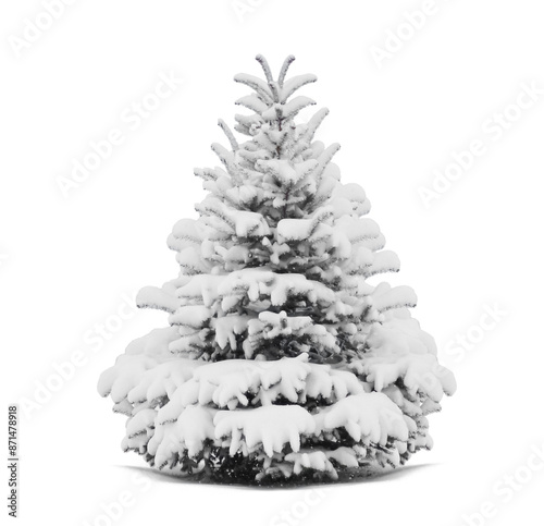 Fir Tree Adorned with a Thick Layer of Snow