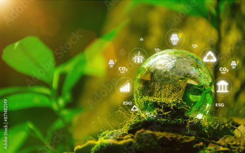 Glass globe surrounded by sustainable development icons, set in a vibrant green forest and illuminated by warm sunlight, symbolizing eco-friendly practices.