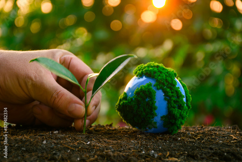 Hand planting a seedling in the soil next to a globe covered in greenery, with a warm sunset in the background, symbolizing environmental conservation and sustainability.