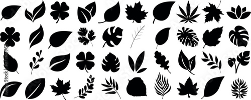 leaf silhouette vector set, silhouette of leaves icon vector collection foliage shapes botanical design illustration. Perfect for nature, plant themed projects