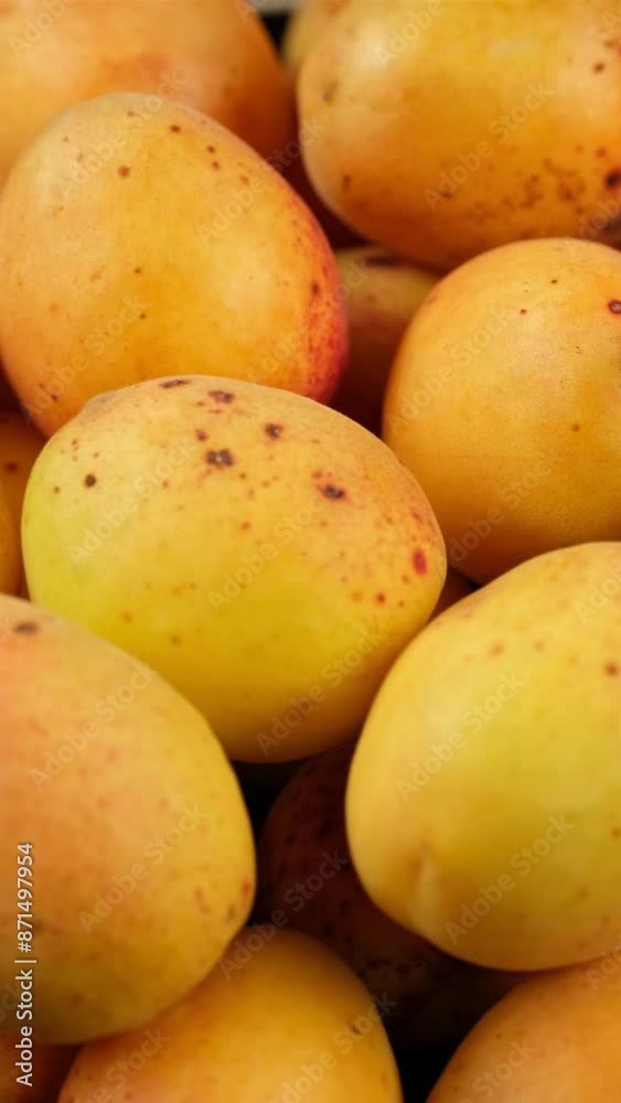 Fresh juice apricots fruit, rotation Fresh juice apricots fruit, rotation