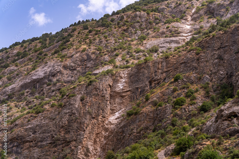 A rocky mountain with a lot of vegetation A rocky mountain with a lot of vegetation
