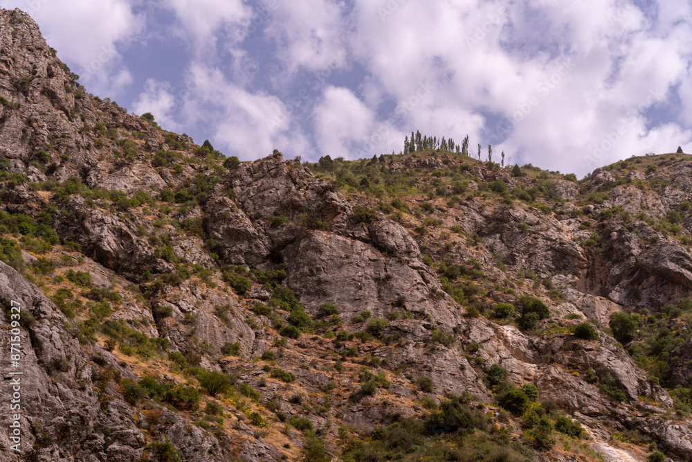 A rocky mountain with a few trees on it A rocky mountain with a few trees on it