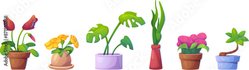 Set of flowerpots isolated on white background. Vector cartoon illustration of domestic garden plants with green leaves and color blossom, flower shop or home interior design elements, birthday gifts