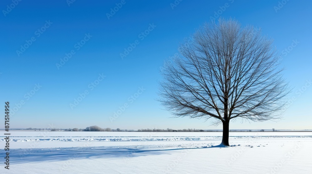 Fototapeta premium Winter wonderland snowy field in the countryside.