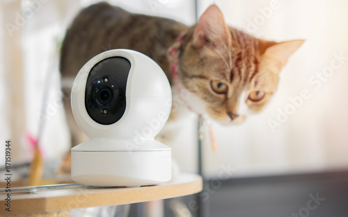 Close-up view of CCTV camera setting on the cat tower at home. photo