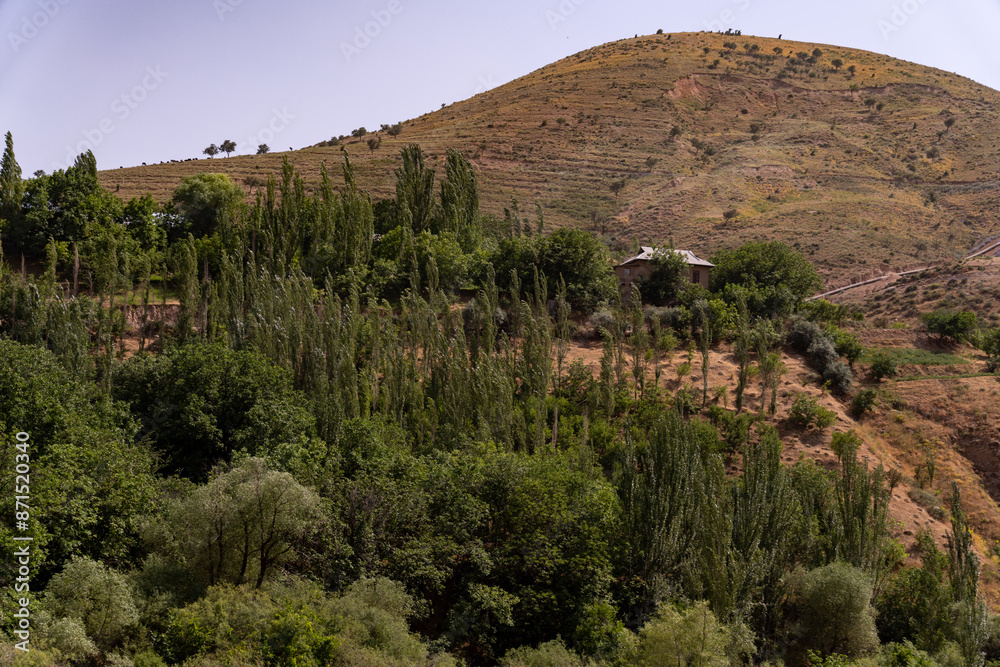 A hillside with a house and trees A hillside with a house and trees