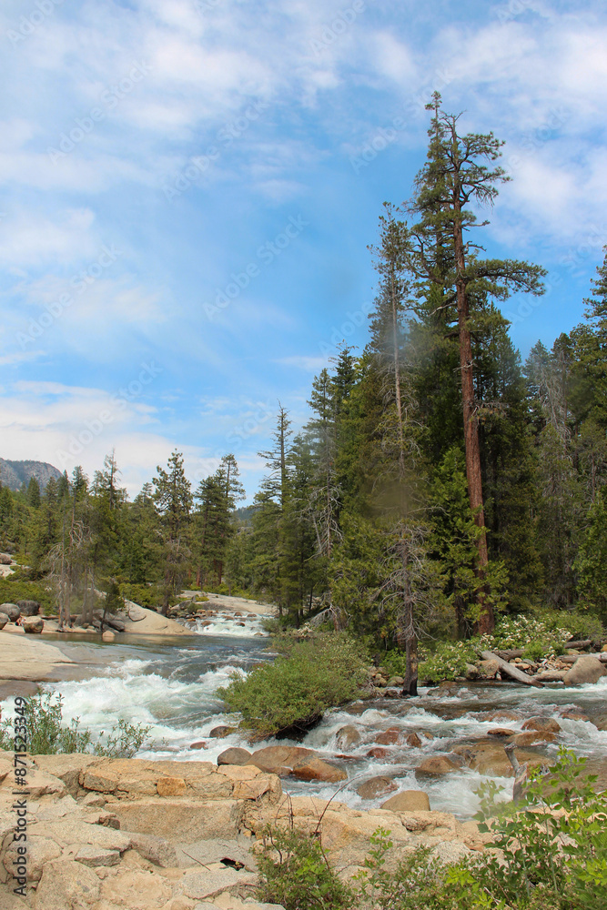 Obraz premium mountain river in the forest