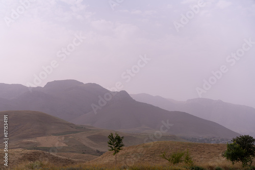 A mountain range with a cloudy sky and a tree in the foreground photo