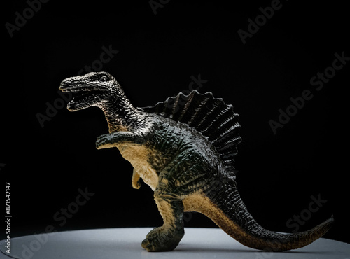 The Stegosaurus was a large and robust quadrupedal herbivorous dinosaur, with an arched profile. Spinosaurus (literally 