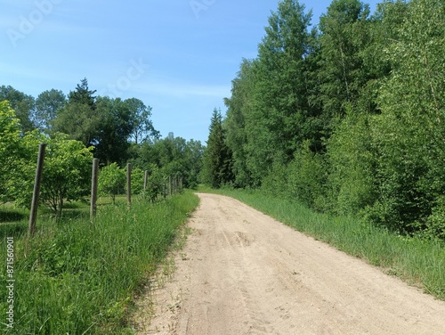 Road in forest in Siauliai county during sunny summer day. Oak and birch tree woodland. Sunny day with white clouds in blue sky. Bushes are growing in woods. Sandy road. Nature. Summer season. Miskas.