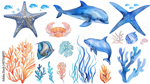 set of sea animals photo