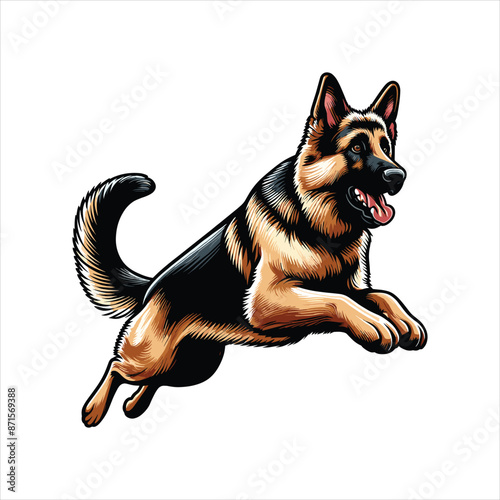 German Shepherd Color Peeking Dogs. Color image of a dogs head isolated on a white background. Dog portrait, Vector illustration