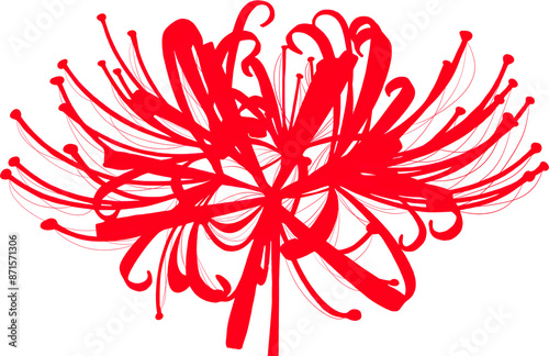 higanbana or red spider lily flower with abstract fine line art style in red color theme 